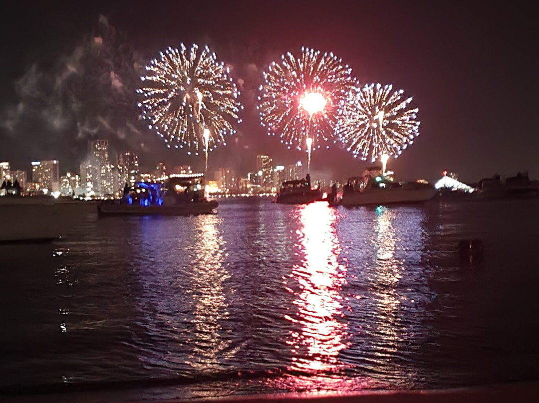 The Peninsula Riverside Apartments主图