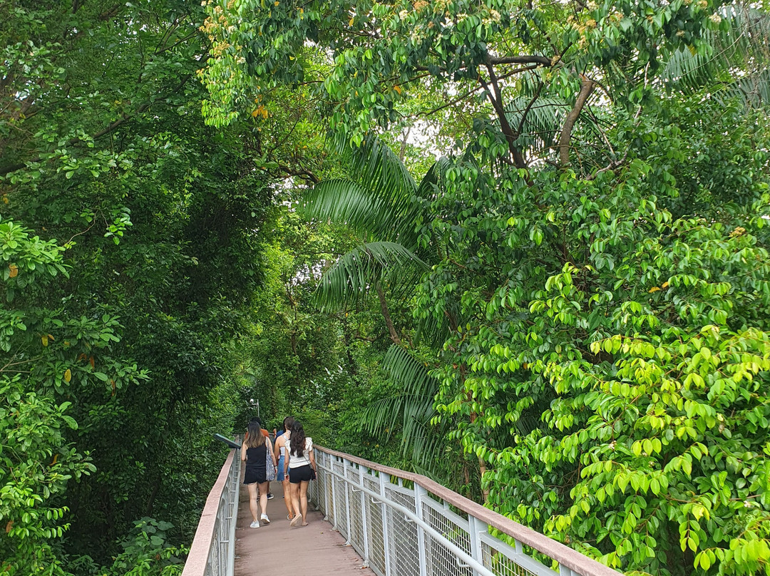Imbiah Lookout-圣淘沙岛必去景点