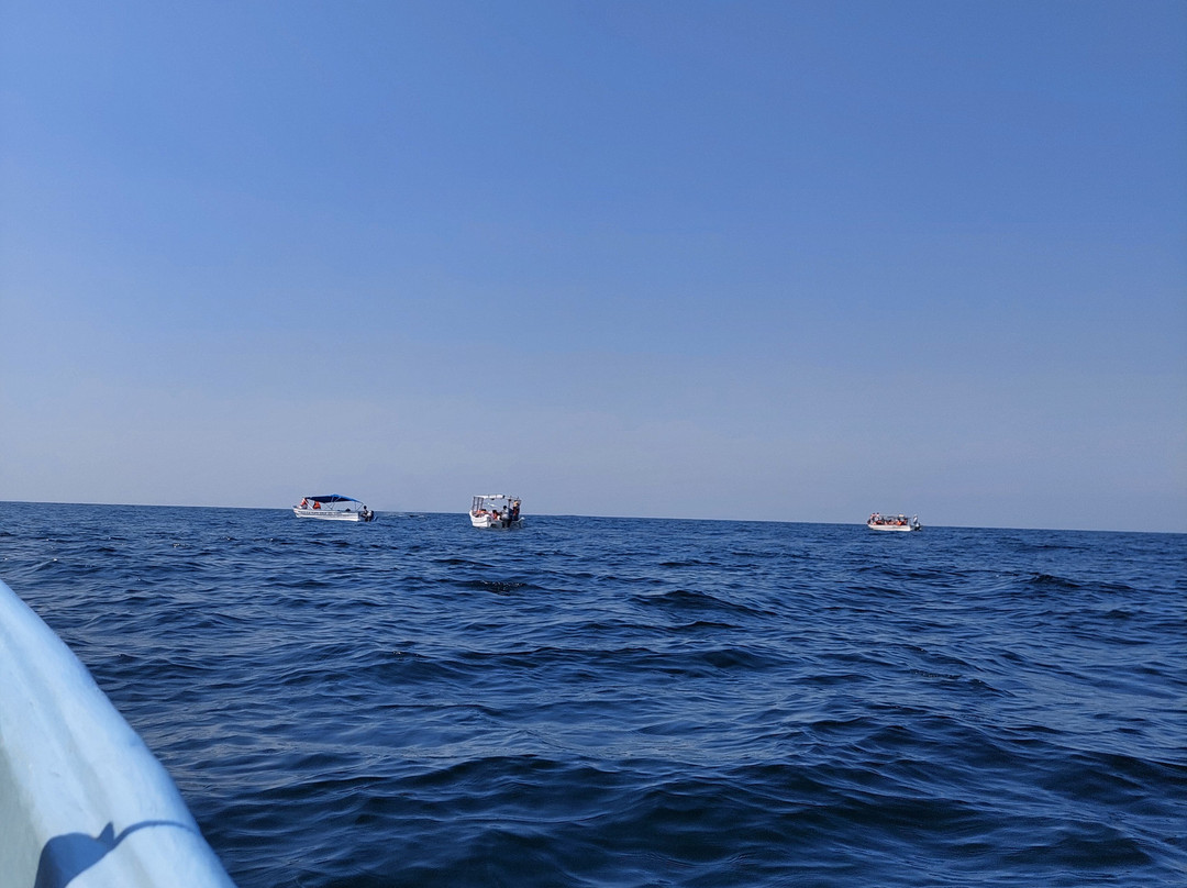 Nayarit Adventures-Tepic必去景点