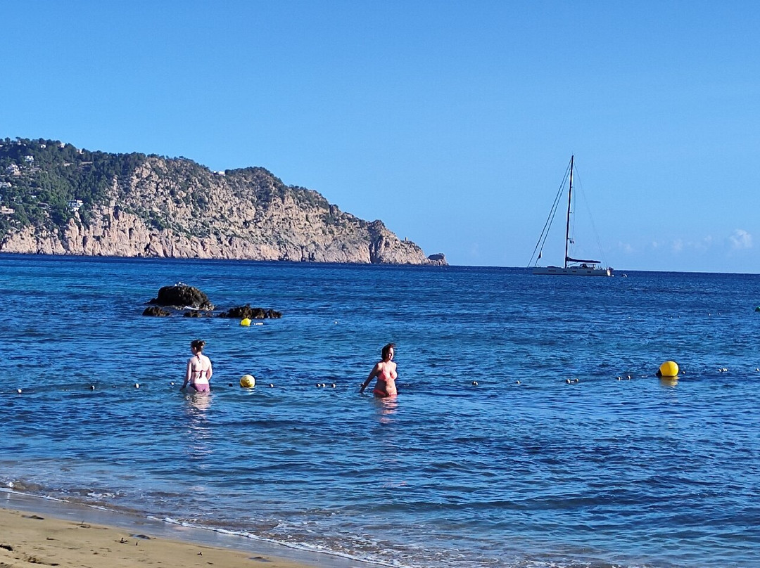 Playa de Es Figueral景点图片