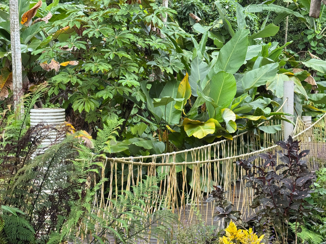 La Tierra Del Encanto-Isla Bastimentos必去景点