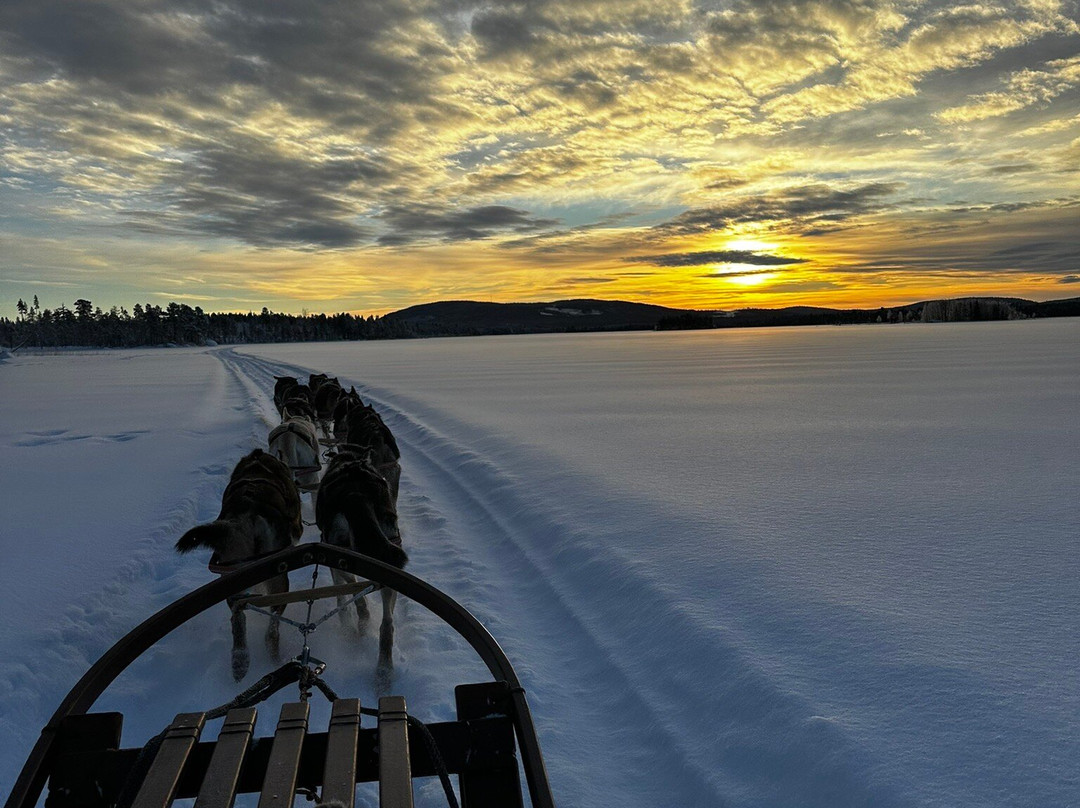 Wild Lapland-Rusktrask必去景点