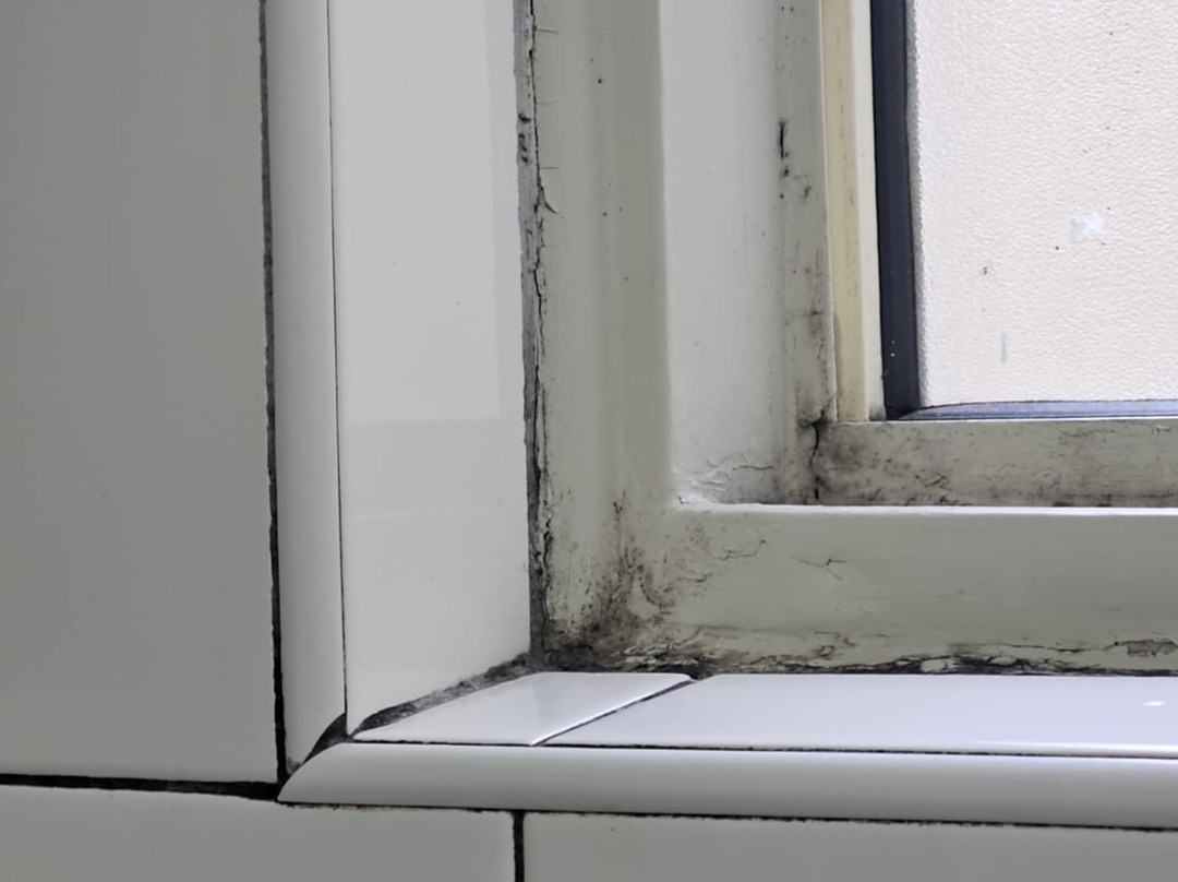 西城汽车旅馆主图