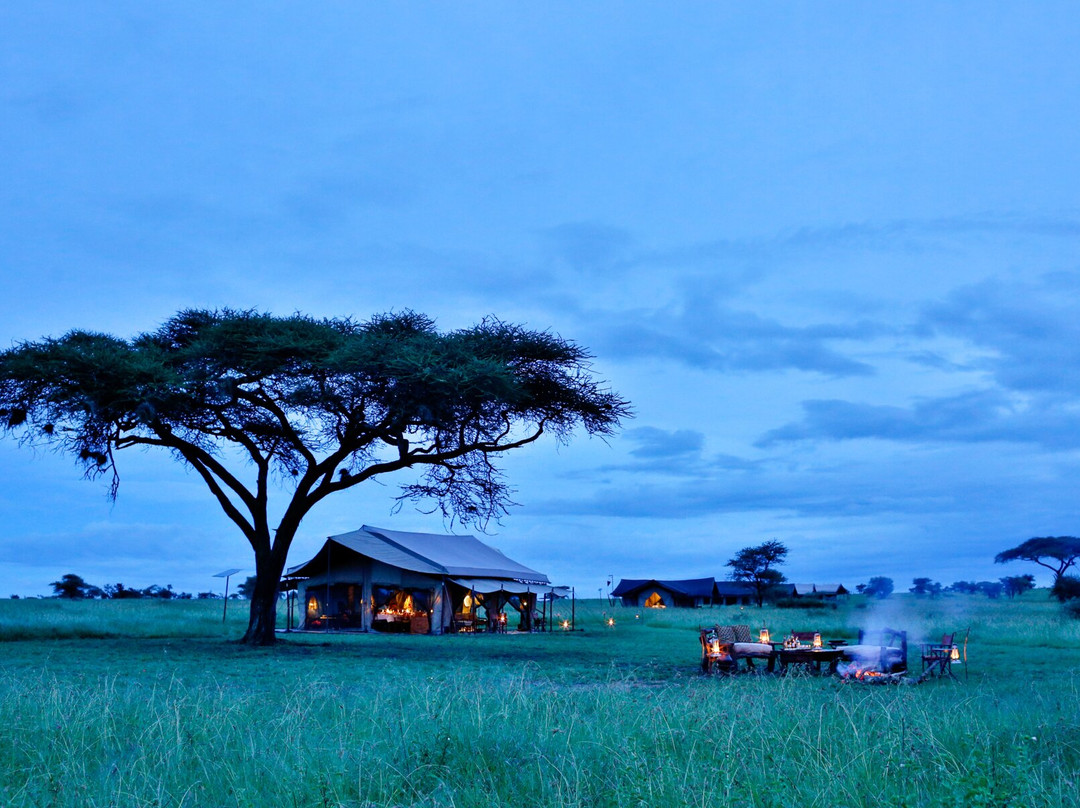 Pumzika Luxury Safari Camp