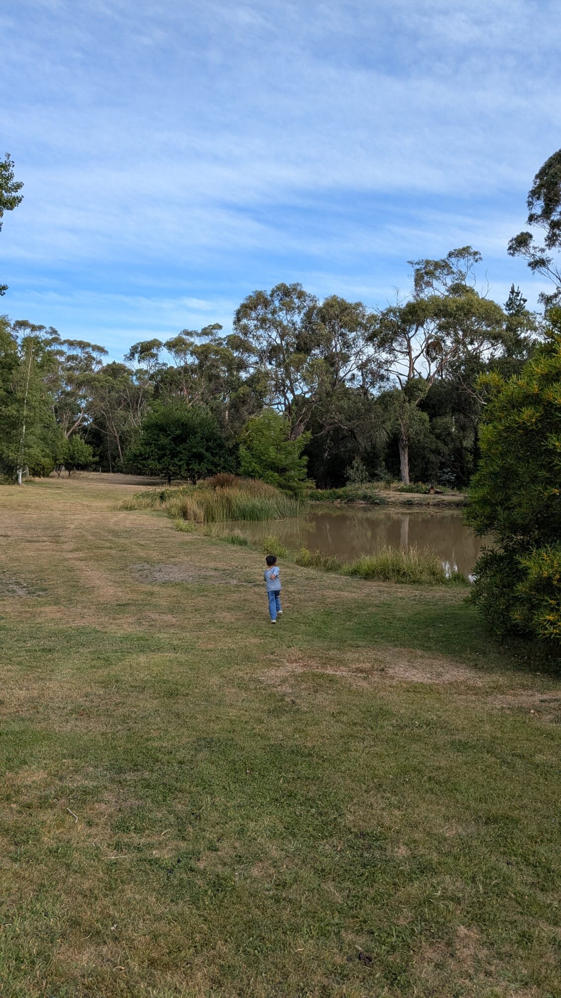 Braeside Mt Macedon Country Retreat and Bed & Breakfast-酒店景观