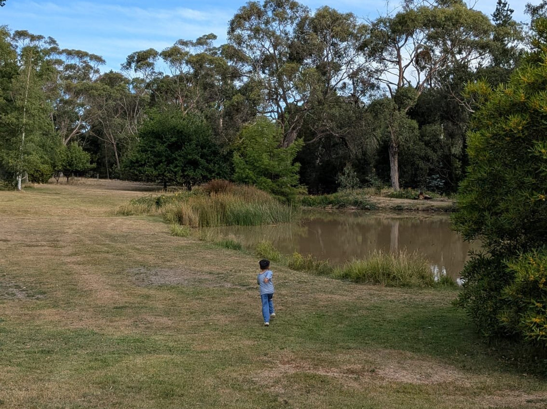 Braeside Mt Macedon Country Retreat and Bed & Breakfast主图