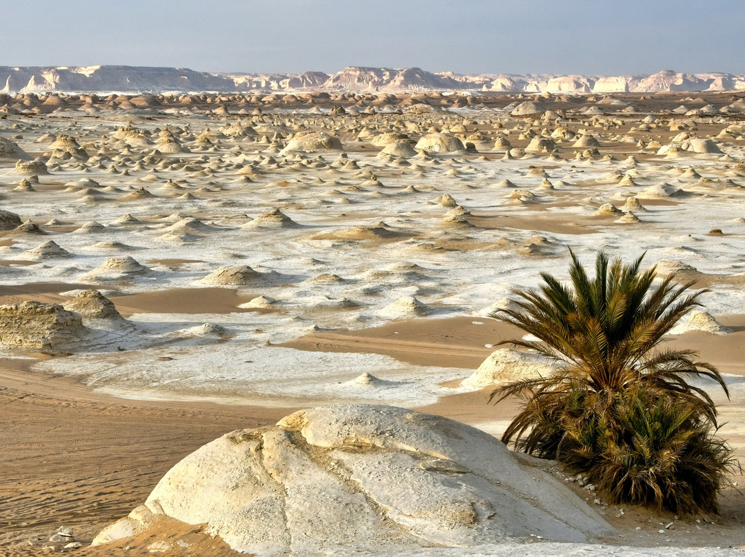 Egypt Camp White Desert
