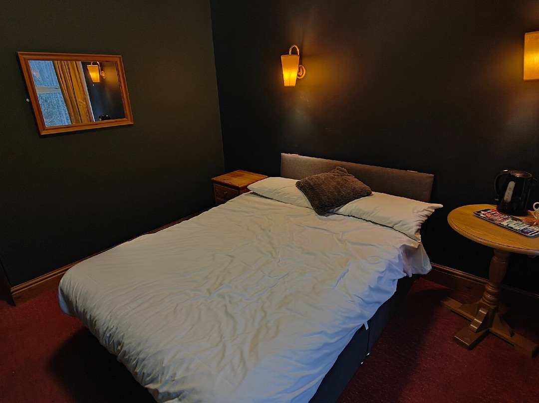 The Dillwyn Arms Hotel主图