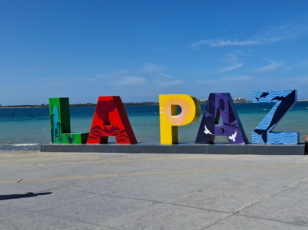 Luvis Tours-卡波圣卢卡斯必去景点