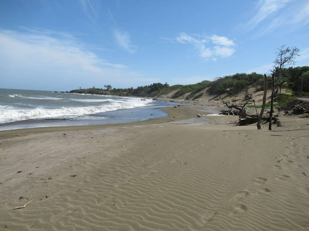 Playa Toro景点图片
