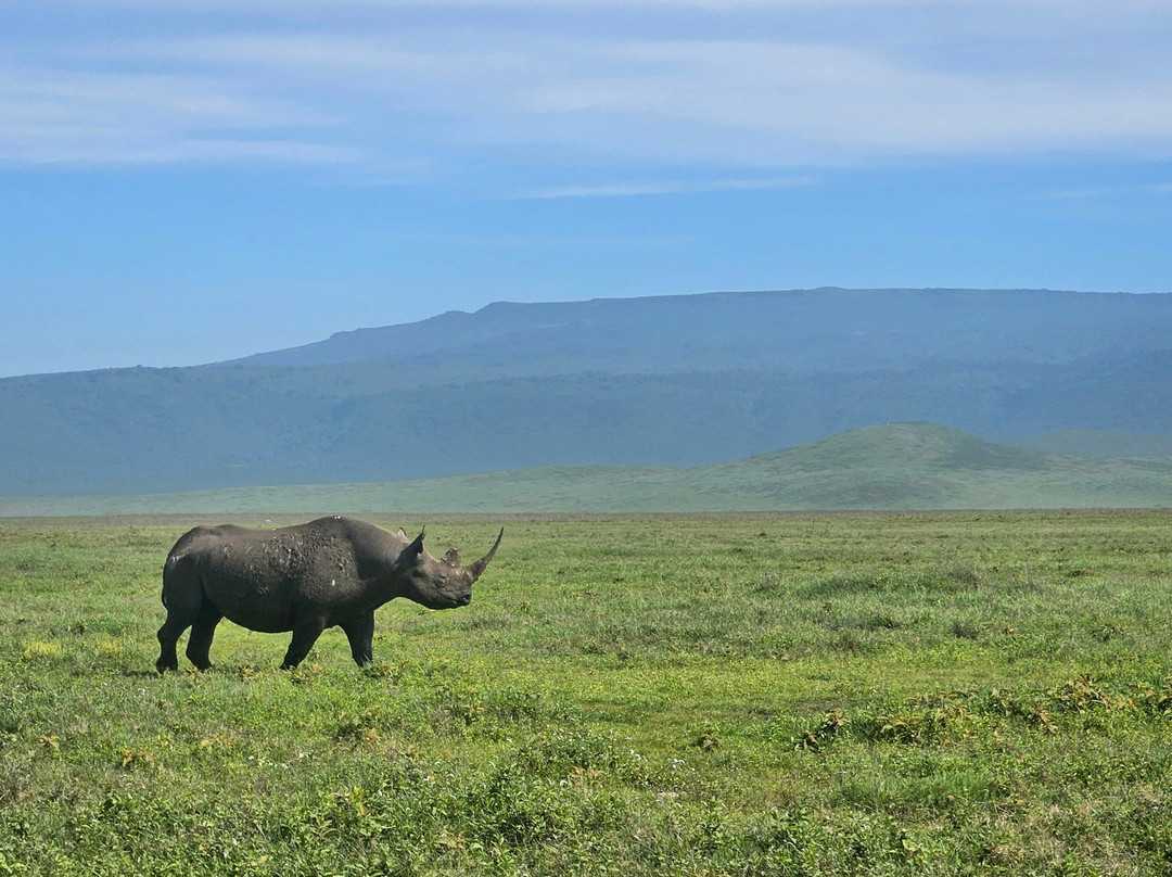 Travel with Deo-Mloka必去景点