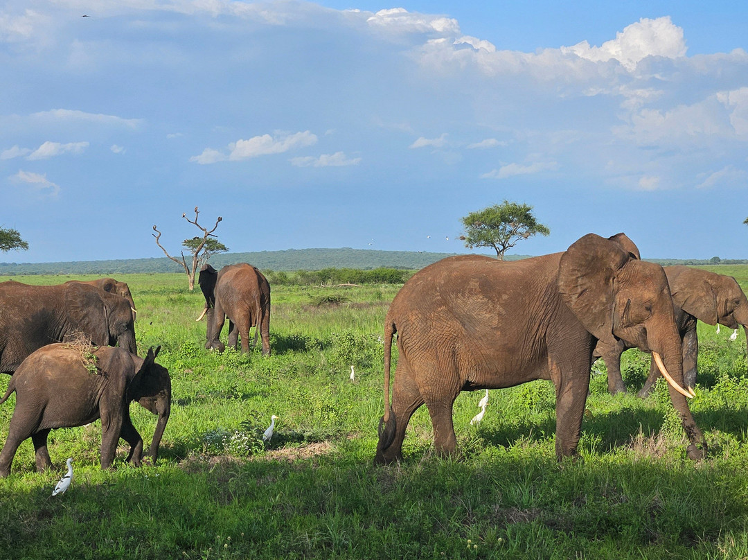 Travel with Deo-Mloka必去景点