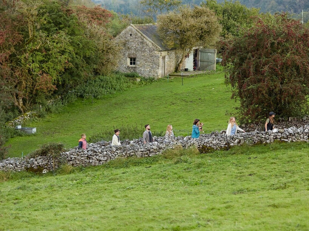 Rewilded Retreats