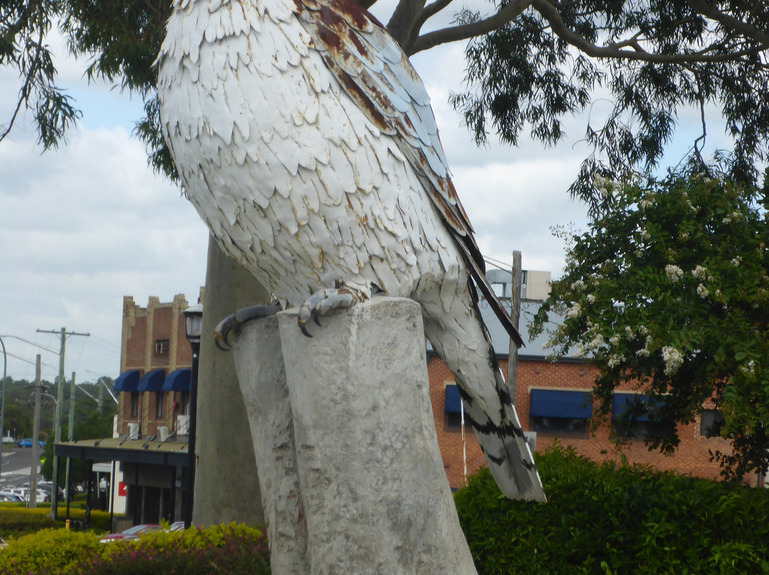 Big Kookaburra景点图片
