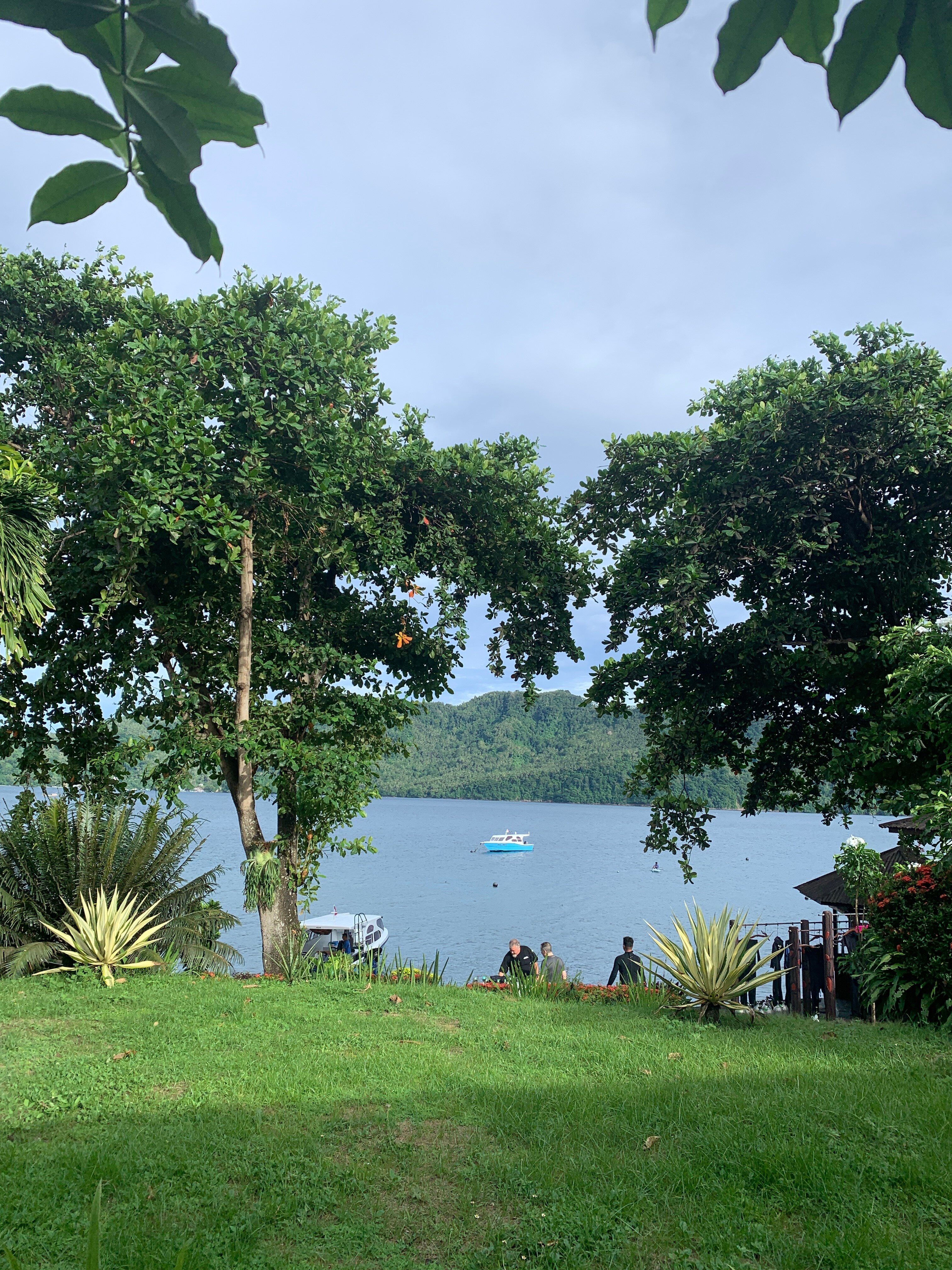 Dive Into Lembeh-官方