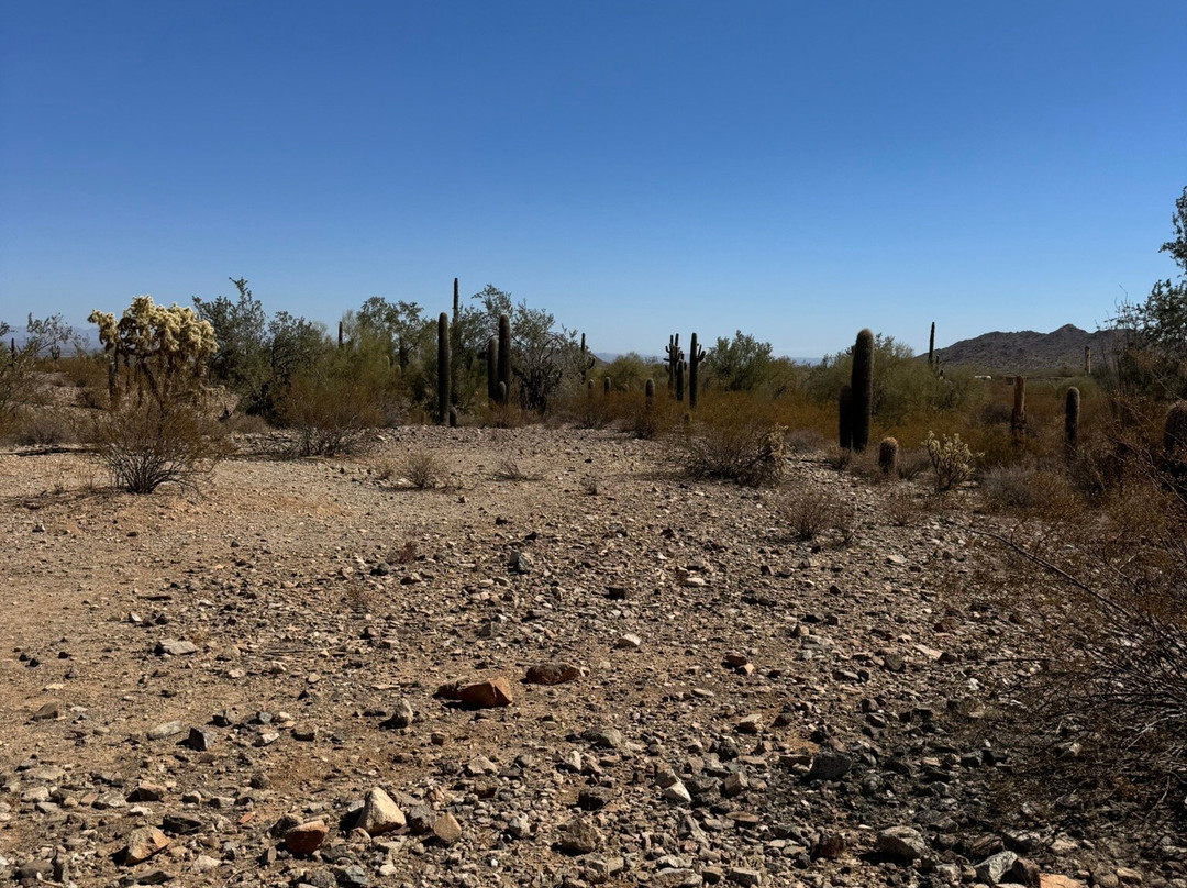 San Tan Mountain Regional Park-Queen Creek必去景点