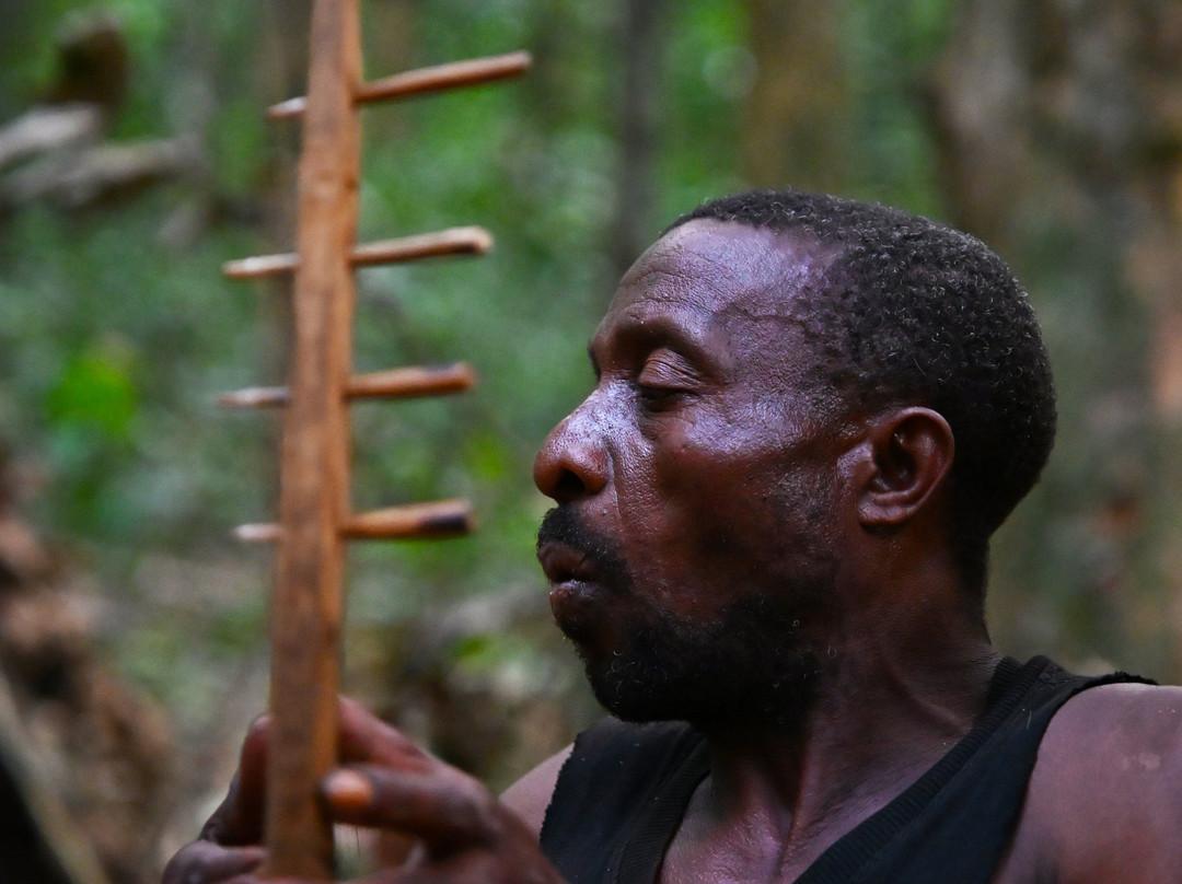 Dzanga-Sangha Reserve-Bayanga必去景点