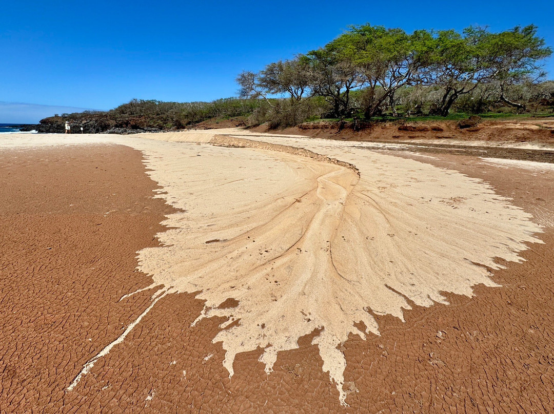 Kawakiu Beach-莫纳罗亚必去景点