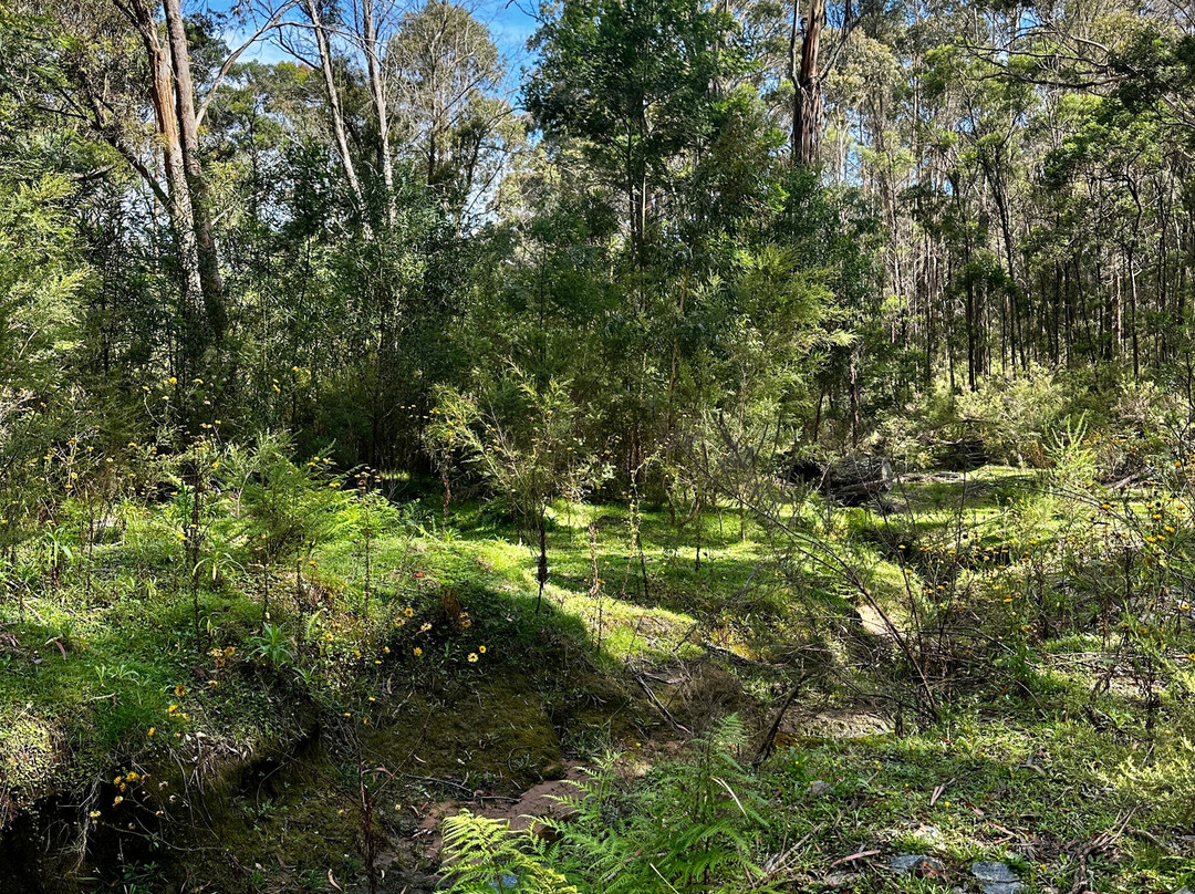 Canyonleigh Retreat主图