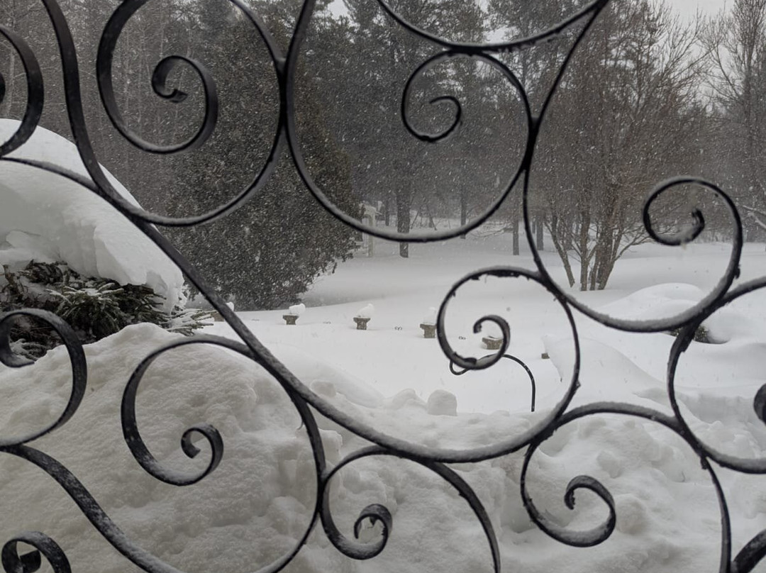 The Hacienda Bed and Breakfast主图