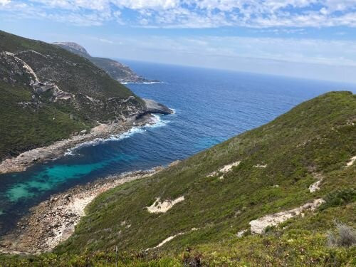 Jimmy Newells Harbour-奥尔巴尼必去景点