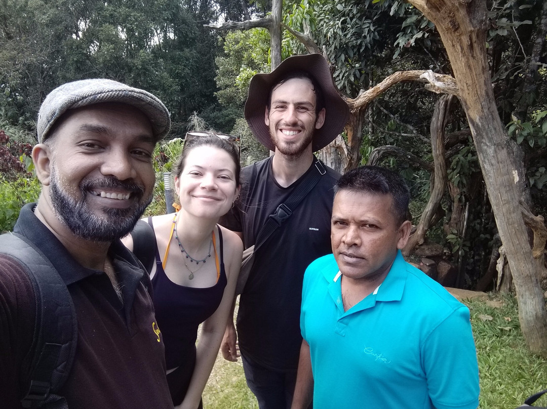 Visit Sinharaja Rainforest景点图片