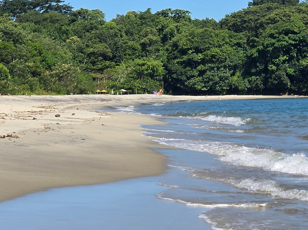 Praia de São Gonçalo景点图片