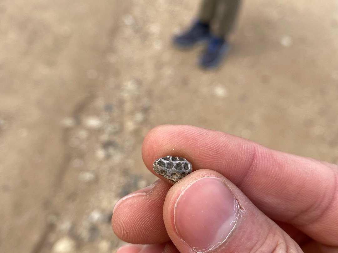 Hatra Kingdom-Mosul必去景点