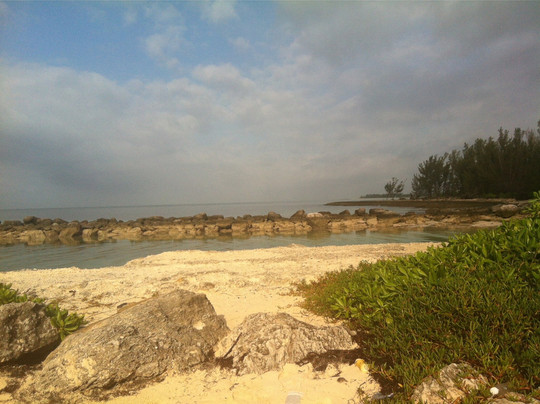 ​​​​​​​​​Ocean Motion Water Sports-弗里波特必去景点