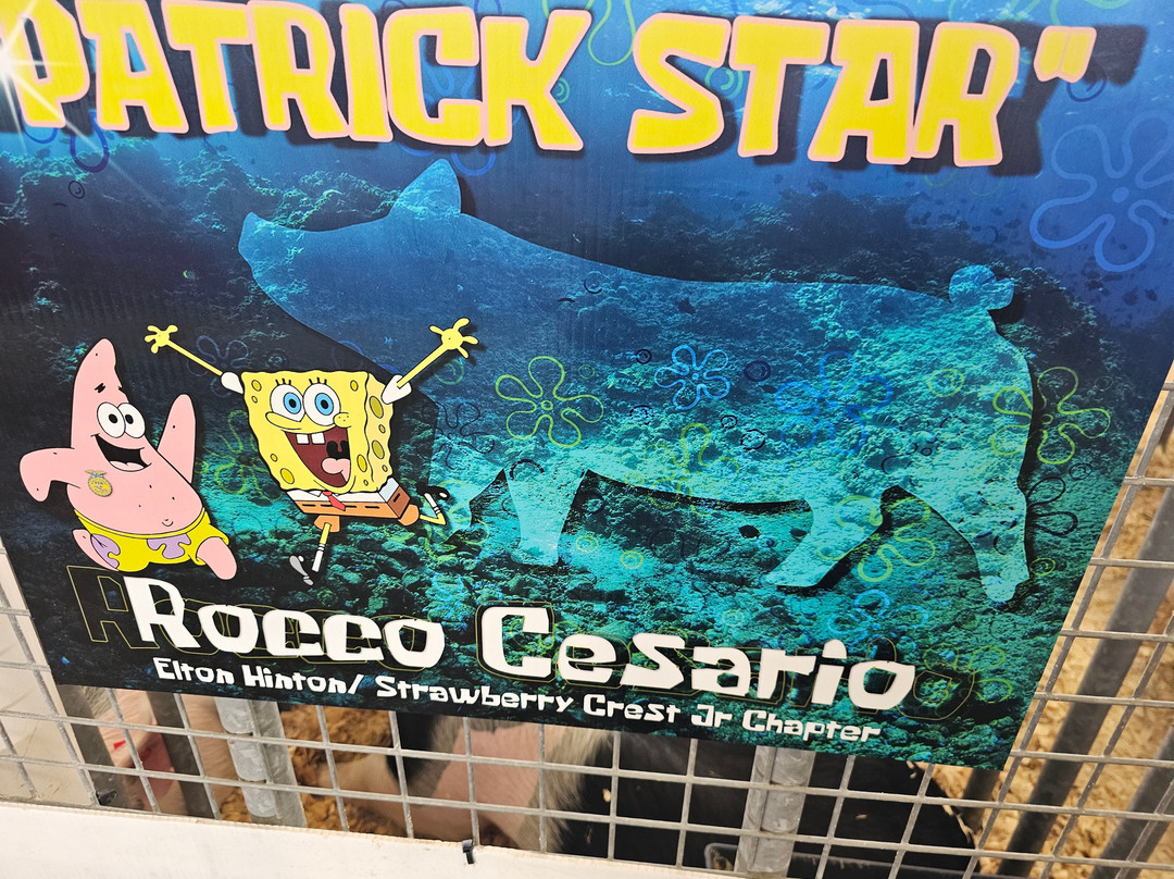 Florida Strawberry Festival-普兰特城必去景点