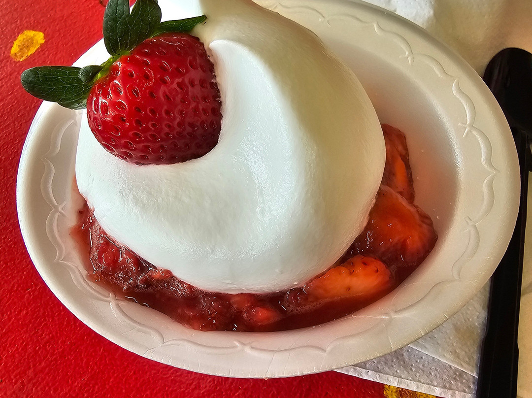 Florida Strawberry Festival-普兰特城必去景点