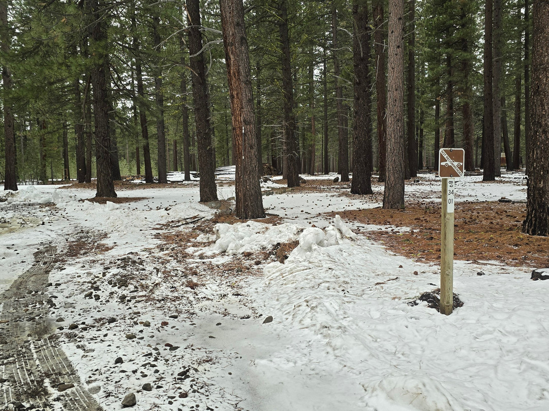 Tahoe Family Adventures景点图片