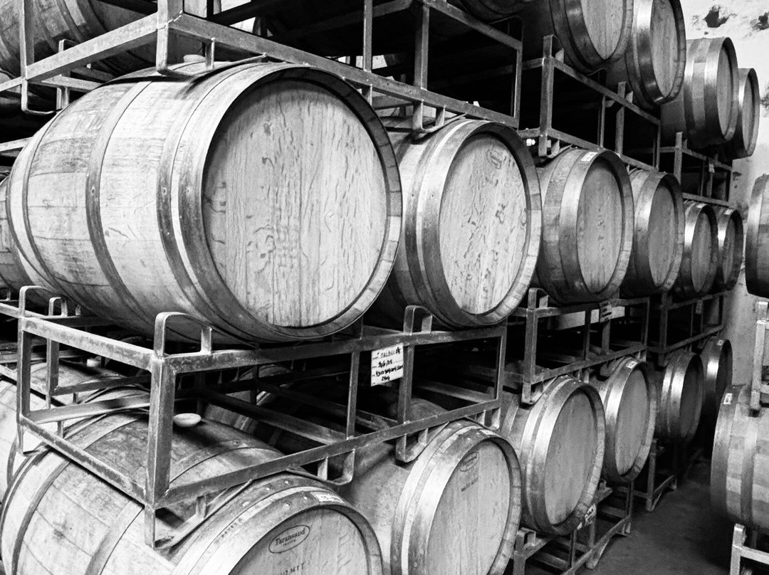 Bodega del Desierto S.A景点图片