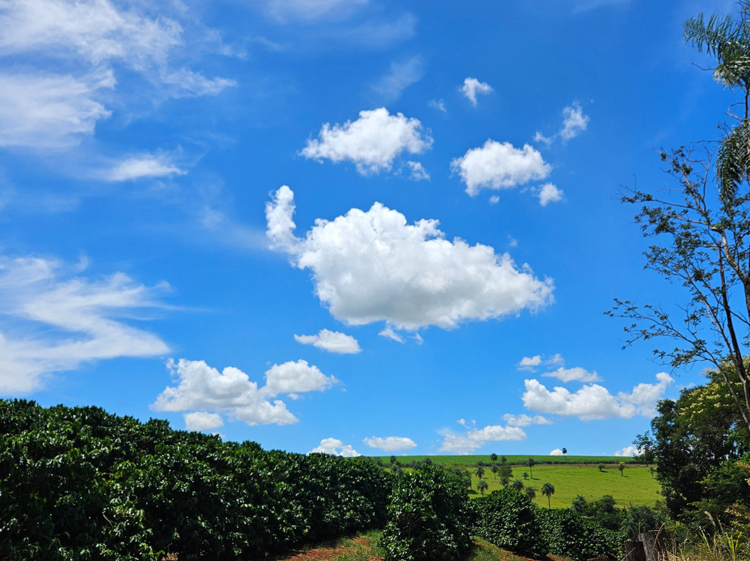 Fazenda Do Alho景点图片
