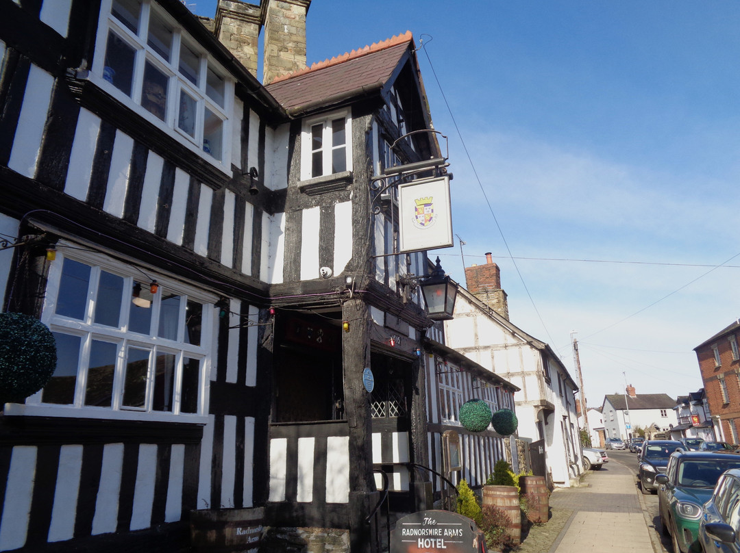 The Radnorshire Arms Hotel主图