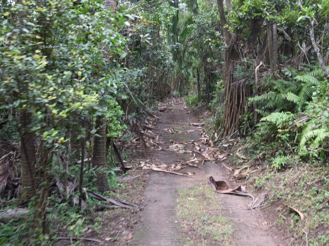 Ebony Forest Reserve-沙马雷勒必去景点