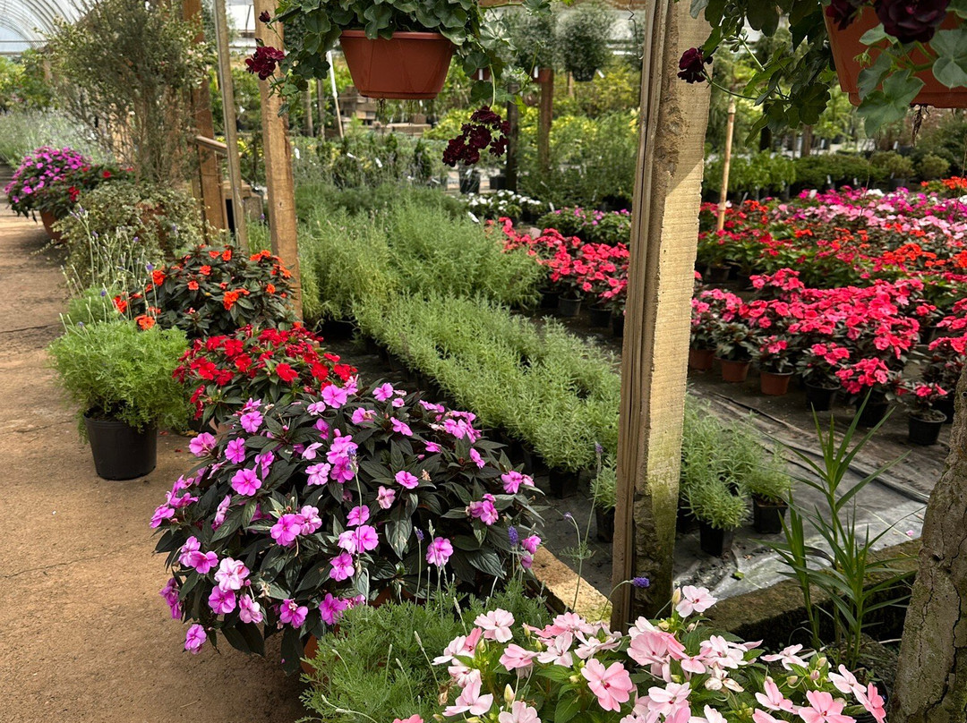 Floricultura Úrsula-Nova Petropolis必去景点