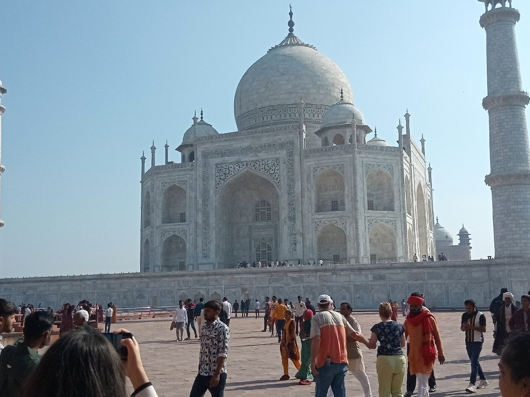 Book My Tours India景点图片