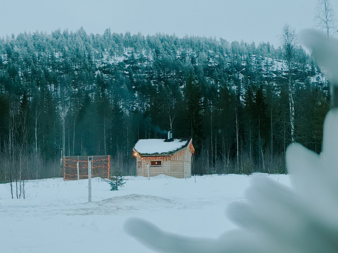 Blueberry Lodge Tours and Activities景点图片