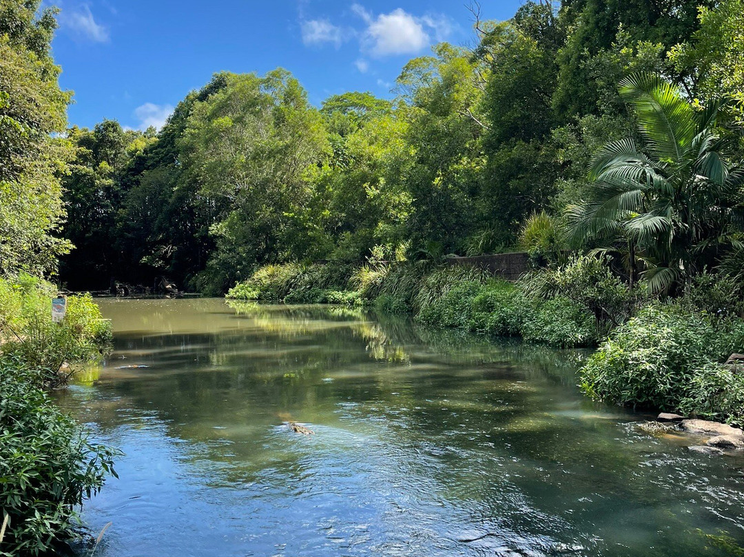 Bangalow Weir Parklands景点图片