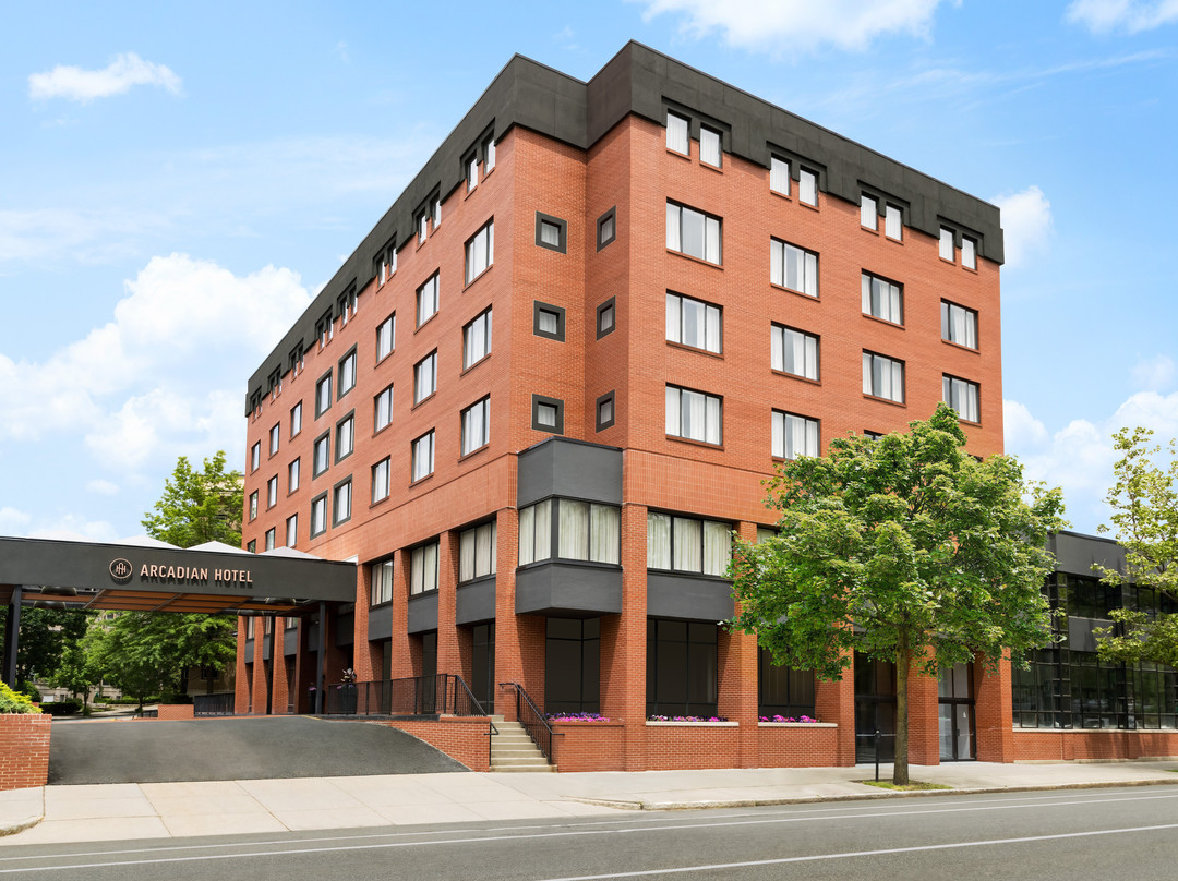 布鲁克莱恩酒店住宿-Arcadian Hotel Brookline