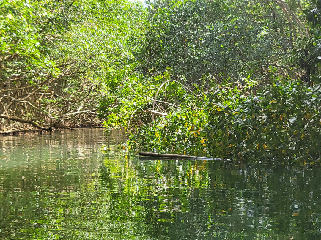 Gwada Gonflé-Petit-Bourg必去景点