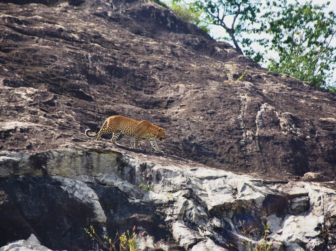 Macaw Holidays-科伦坡必去景点
