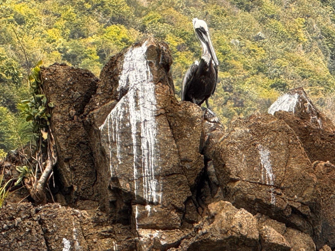 Brewers Bay-托土拉必去景点
