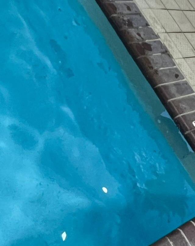 Quality Inn Nashville - Bloomington主图