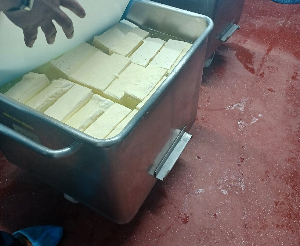 Cheese Tours at Sussex High Weald Dairy景点图片