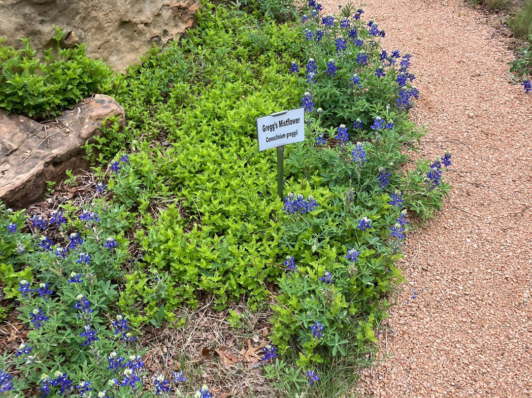 J. Waddy Bullion Gardens-Goldthwaite必去景点