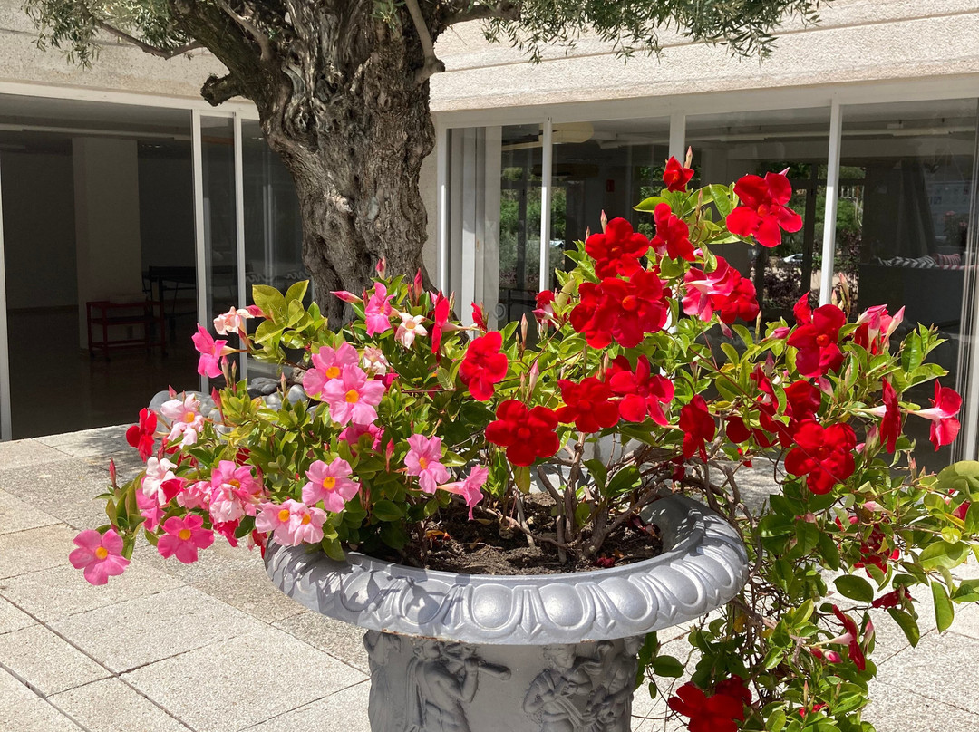 森特瑞玛公寓主图