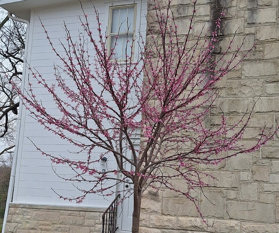 Northfield Inn, Suites & Conference Center主图