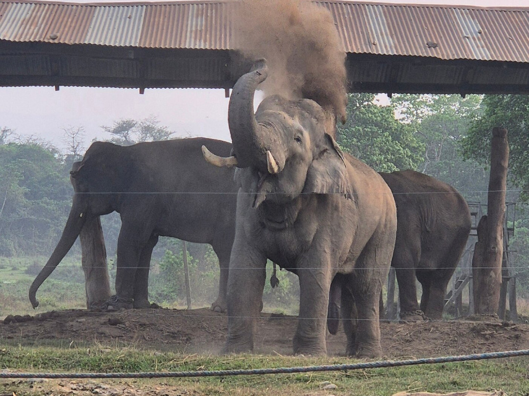 独特野生度假村主图